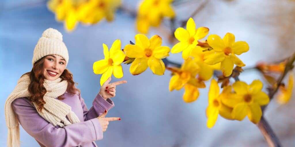 Scoprite la magia del freddo: fiori invernali che trasformeranno il vostro giardino in un'esplosione di colore