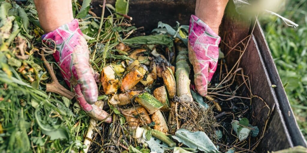 Compostaggio invernale: arma segreta dei giardinieri o una completa perdita di tempo? Scopriamo insieme i pro e i contro